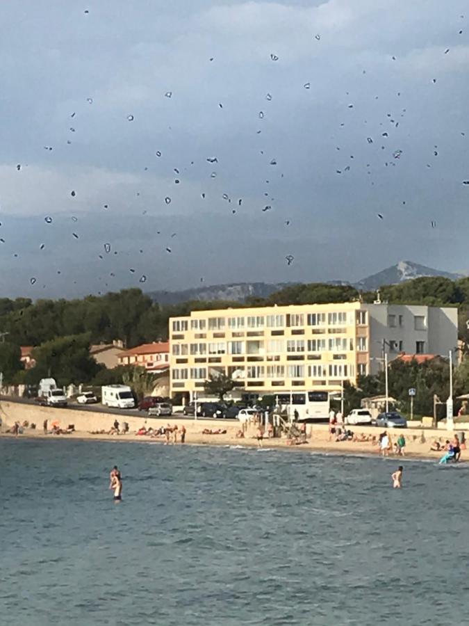 T2 Les Pieds Dans L Eau Vue Mer Apartment Six-Fours-les-Plages Exterior photo